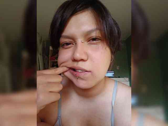 Geritsme webcam