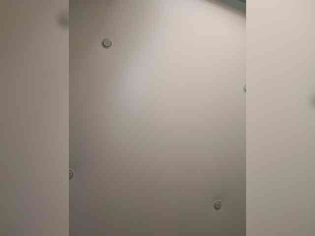 Geritsme webcam