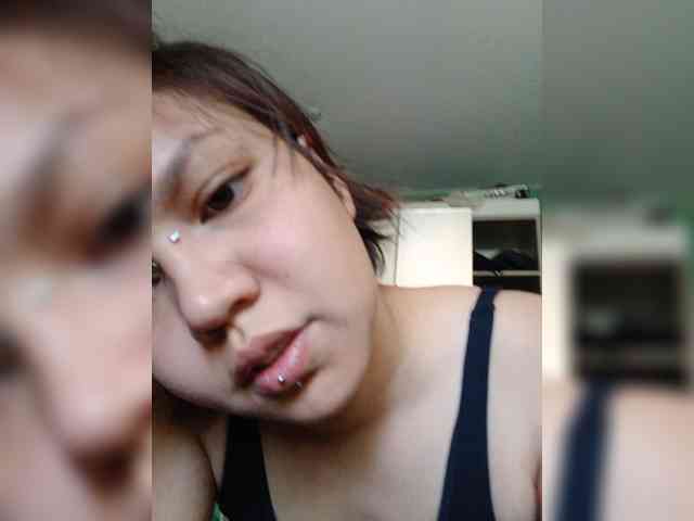 Geritsme webcam