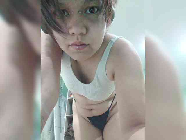Geritsme webcam