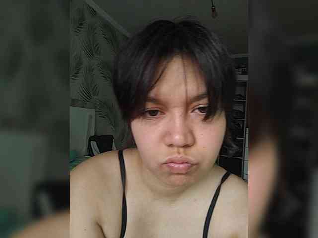 Geritsme webcam