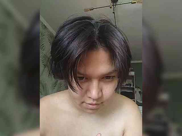 Geritsme webcam