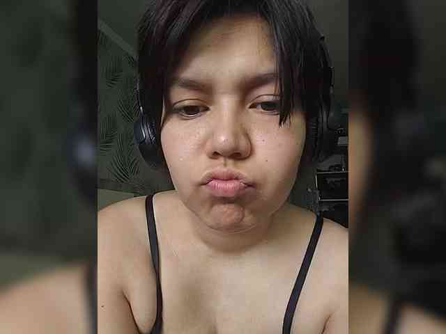 Geritsme webcam