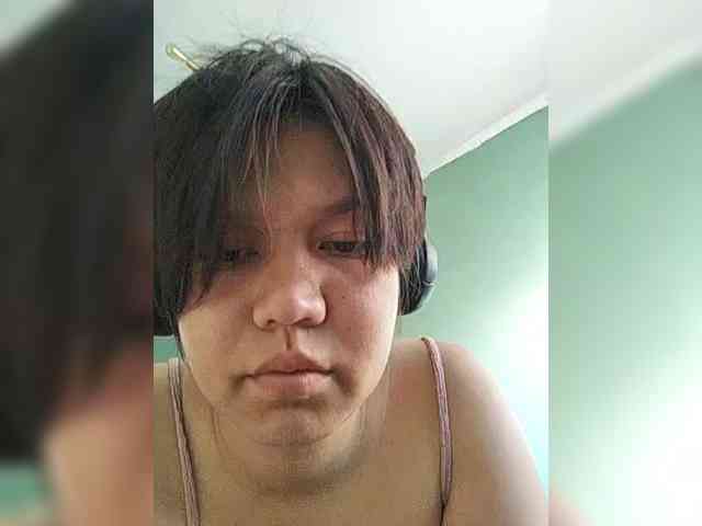 Geritsme webcam