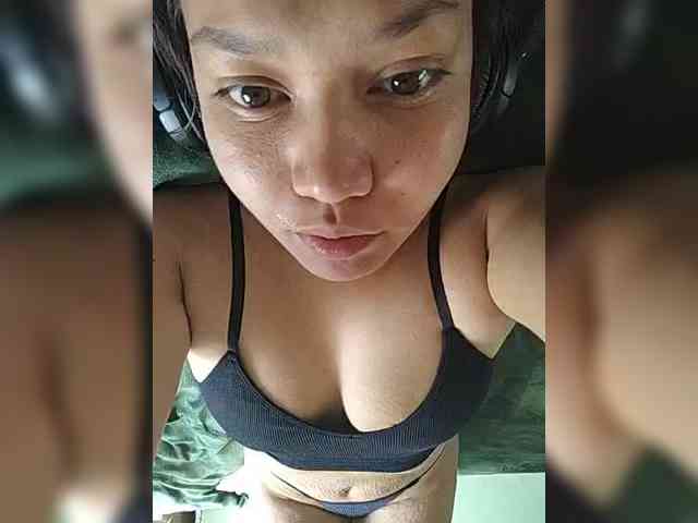 Geritsme webcam