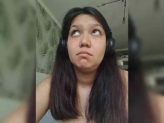 Geritsme webcam