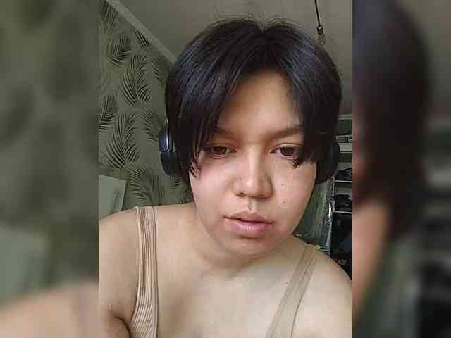 Geritsme webcam