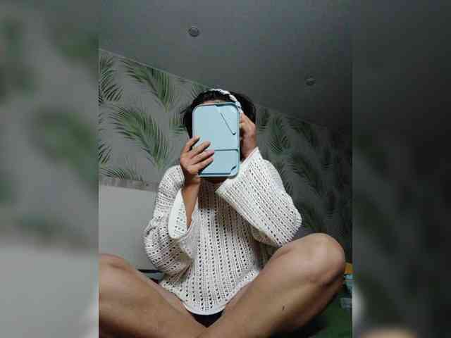 Geritsme webcam