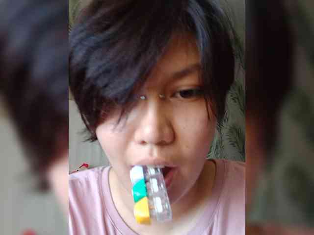 Geritsme webcam