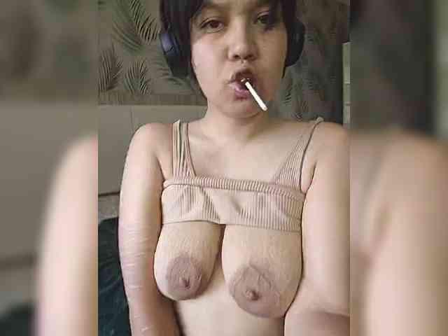 Geritsme webcam