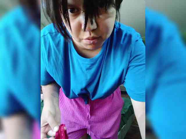 Geritsme webcam