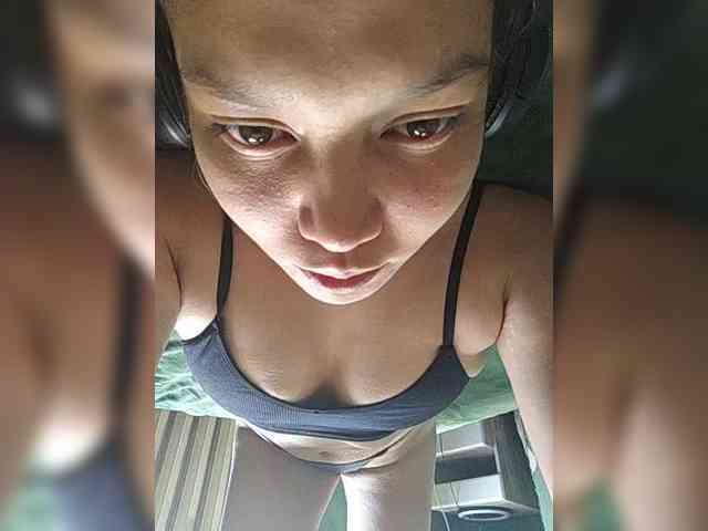 Geritsme webcam