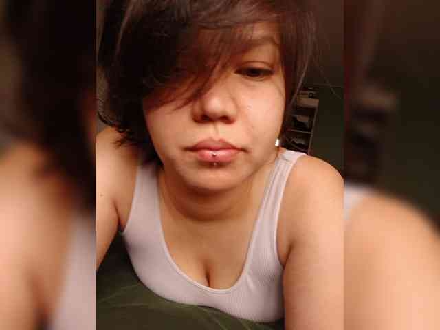 Geritsme webcam