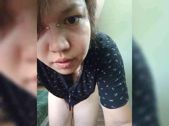 Geritsme webcam