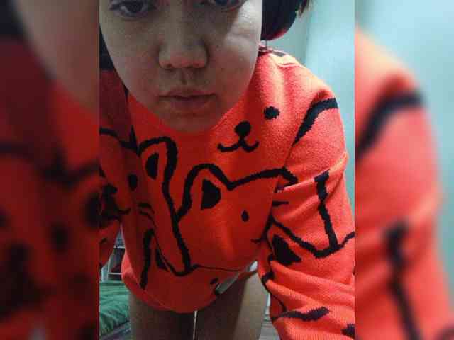 Model: Geritsme