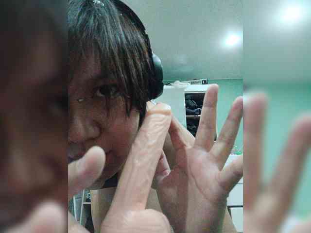 Geritsme webcam