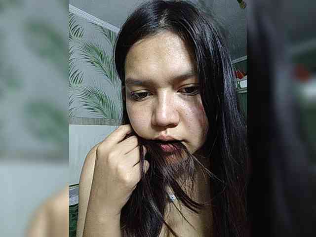 Geritsme webcam