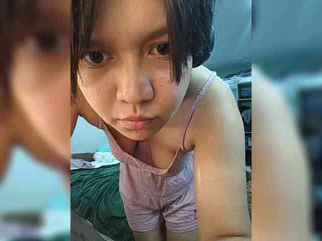 Geritsme webcam