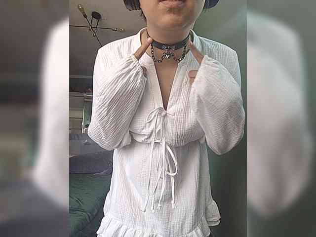 Geritsme webcam