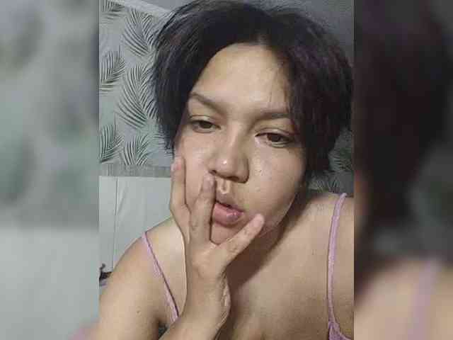 Geritsme webcam