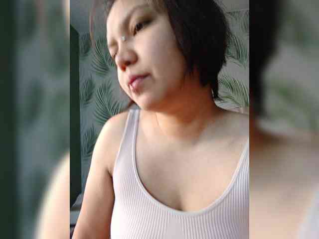 Geritsme webcam