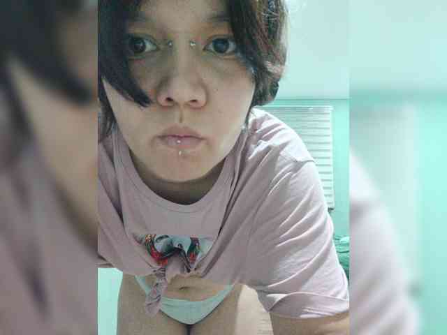 Geritsme webcam