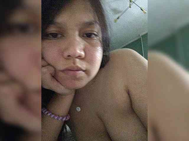 Geritsme webcam