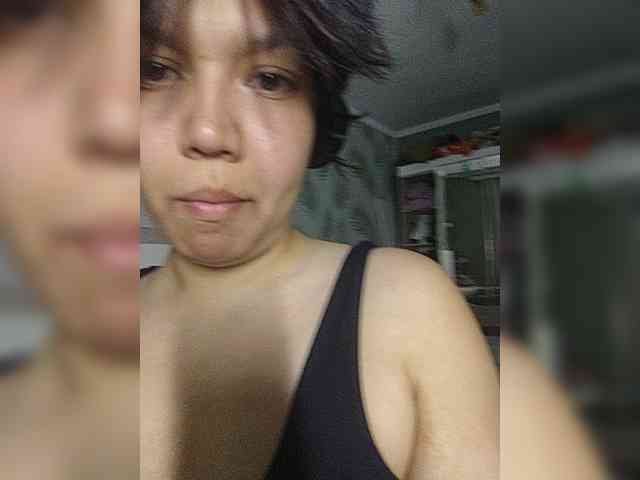Geritsme webcam