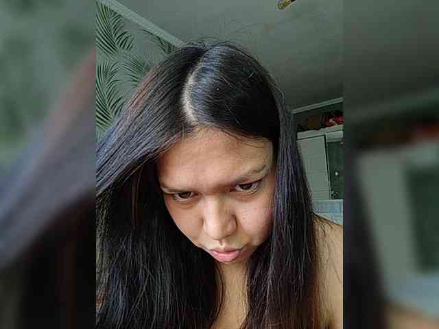 Geritsme webcam