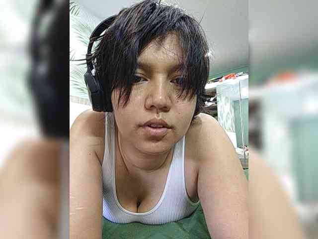 Geritsme webcam