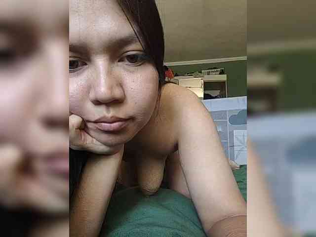 Geritsme webcam
