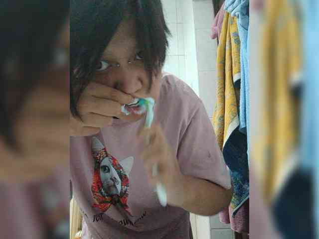 Geritsme webcam