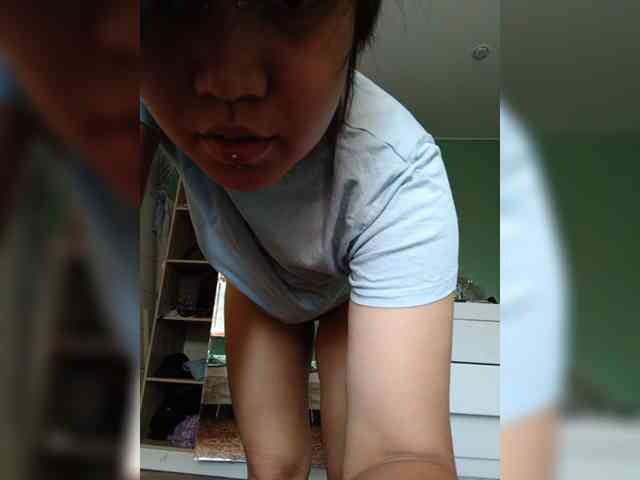 Geritsme webcam