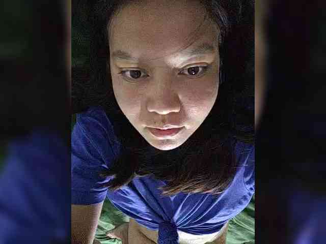 Geritsme webcam
