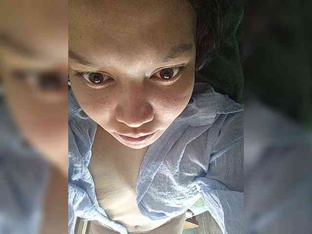Geritsme webcam