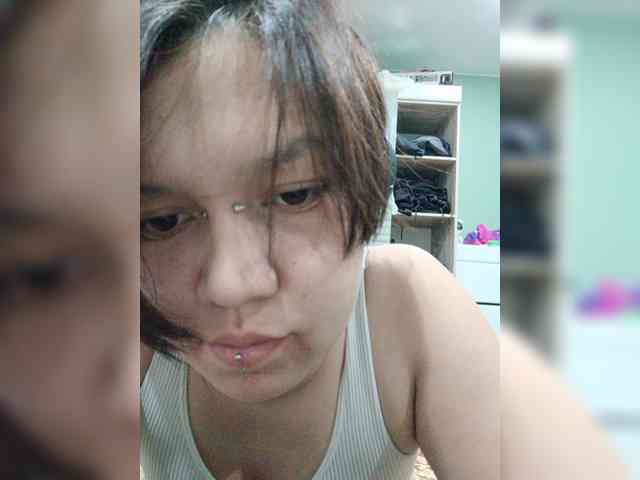 Geritsme webcam