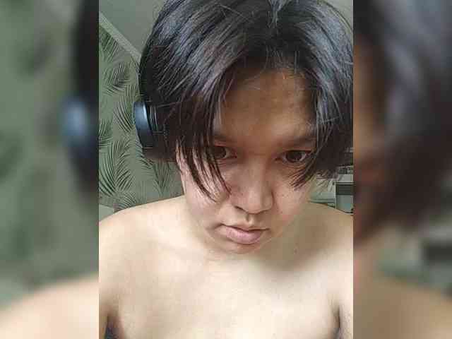 Geritsme webcam