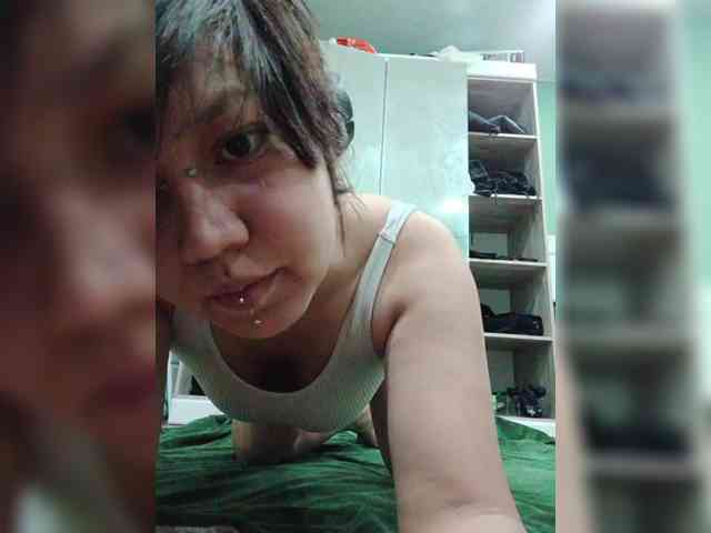 Geritsme webcam