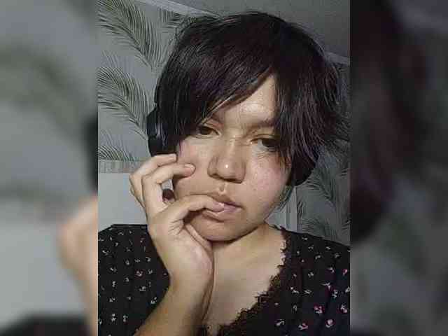 Geritsme webcam