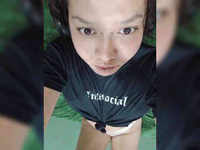 Geritsme webcam