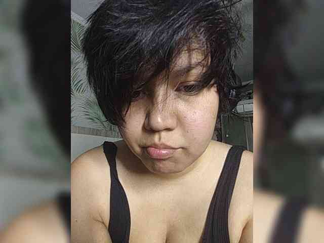 Geritsme webcam