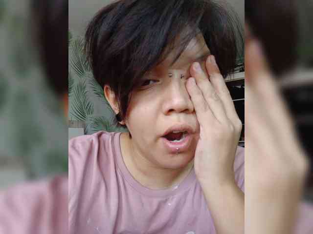 Geritsme webcam