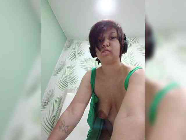 Geritsme webcam