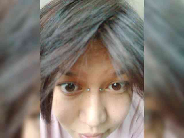 Geritsme webcam