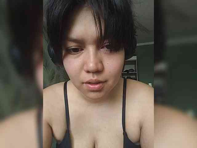 Geritsme webcam