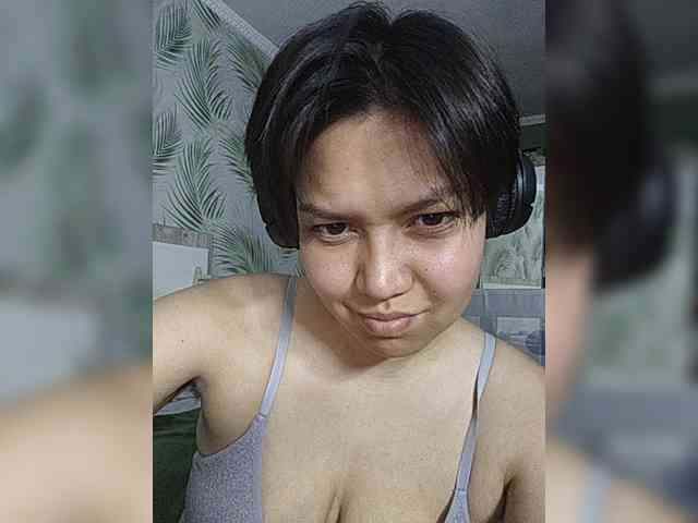 Geritsme webcam