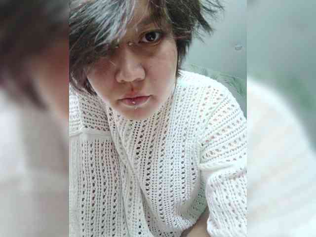 Geritsme webcam