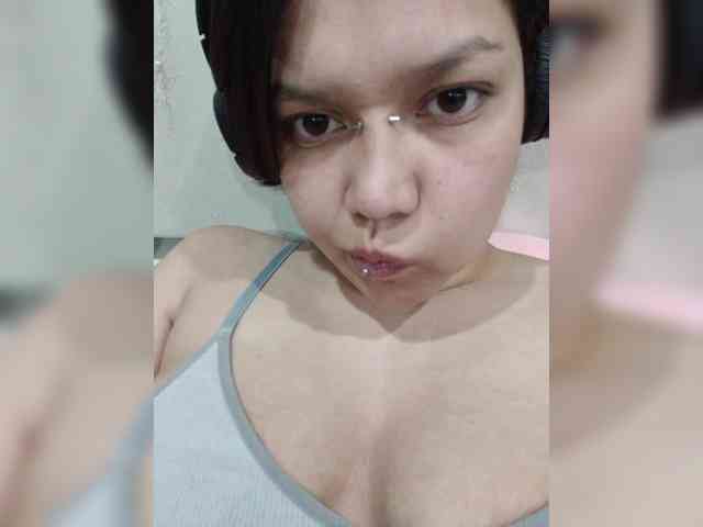 Geritsme webcam