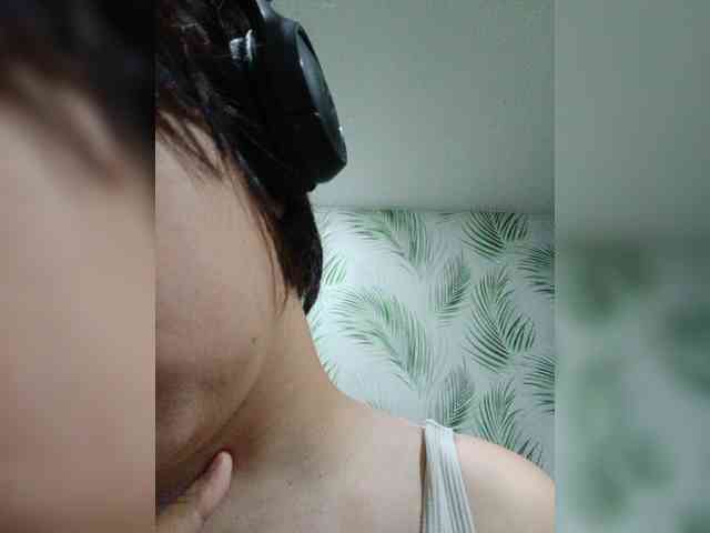 Geritsme webcam