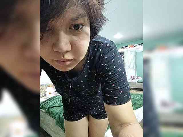 Geritsme webcam